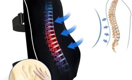 Soporte Lumbar para Silla,Respaldo Lumbar de Oficina,Almohada de apoyo para Asientos para Coche,Cojín Trasero de Espuma para aliviar el dolor de espalda,Diseño Ergonómico,Adecuado para Auto y Hogar